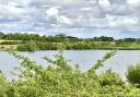Scorton Lakes is now popular with nature lovers