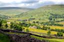 View towards Muker village from Kearton's Wood, Swaledale, North Yorkshire