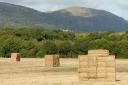 Stacks of hay bales in Welland near Malvern. Picture: Nick Toogood