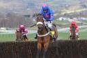 Cue Card is favourite to win tomorrow's Charlie Hall Chase at Wetherby