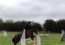 Claire Thompson on Hillie (Hillgarth Hillary), winners of the 70cm and 80cm competitions
