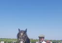 Phil Smale with three year old Dales Earnwell Hugo, the first show for them both