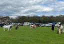 Duncombe Park Country Fair showcases many aspects of traditional rural life