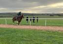 Trainers come from as far away as Darlington to use the top of the range facilities at Langton Gallops near Malton