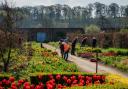 A group of volunteers tend to the Hot Border at Helmsley Walled Garden in the springtime. Photograph by Colin Dilcock