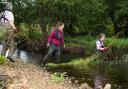 Volunteers willow spiling to create natural flood management