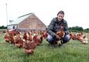 FEATHERED FRIENDS: Harry Hodgson surrounded by Brown Nic chickens