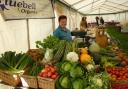 TOP CROP: Katrina Palmer, of Bluebell Organics, displays an impressive array of fruit and veg.