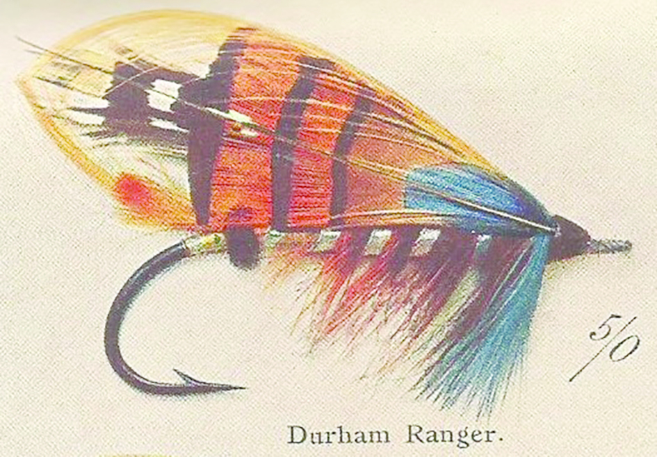The Durham Ranger was one of the most popular salmon flies of the 1840s. It was designed by Durham solicitor Walter Scruton. A Durham police officer became obsessed, perhaps with good reason, by the notion Scruton was having an affair with his wife,