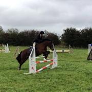 Claire Thompson on Hillie (Hillgarth Hillary), winners of the 70cm and 80cm competitions