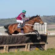 Monbeg Chit Chat in action at the Holderness Point to Point Picture: Tom Milburn Photography
