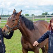 3.	Debbie Matthews with Molly Thomson, 20, of Ingleby Barwick, who joined the tour of Elwick Stud