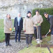Rishi Sunak planting a tree with the staff of English Heritage at Richmond Castle