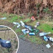 Two community litter pickers have complained of a 'scourge on the landscape' of Stanley after consistent fly-tipping incidents. Pictures: JANET ATKINSON.