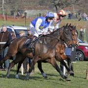 The Hurworth Point to Point meeting, Skutterskelfe Park, Hutton Rudby, North Yorkshire Picture: STUART BOULTON