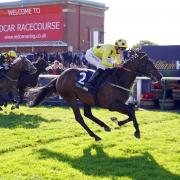 Redcar Races goes ahead after a 7.30am inspection