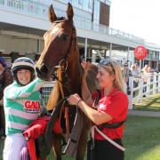 David O'Meara's Eeetee after winning at Redcar earlier in the season. Picture: Peter Barron
