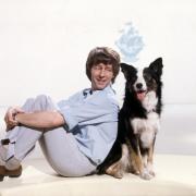 John Noakes sitting back-to-back with Shep, the Blue Peter dog who may have been born in Croft next to the airfield