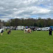 Duncombe Park Country Fair showcases many aspects of traditional rural life