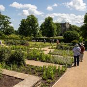 Guests see the remodelled East Garden at Raby Castle