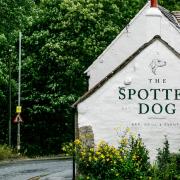 Spotted Dog pub