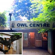 The current entrance to the Kirkleatham Owl Centre (and inset) manager Craig Wesson previously pictured with a sea eagle being looked after by volunteers