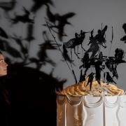 Sarah Webster with one of the exhibits in the Murmuration exhibition at Bowes Museum Picture: SARAH CALDECOTT