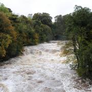 A general view of the fast flowing and swollen River Ure at Aysgarth Falls, North Yorkshire