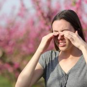 Hay fever can cause eyes to become inflamed and watery
