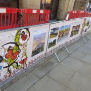 The artwork on barriers at the cycle race