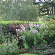 Gardens at Hurworth