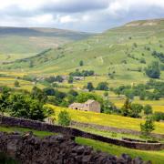 View towards Muker village from Kearton's Wood, Swaledale, North Yorkshire