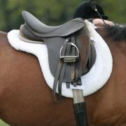 Saddles need to fit both horse and rider.