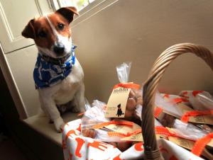 Darlington and Stockton Times: TAKING THE BISCUIT: Alison’s dog Welly stands guard over home-baked Wellybix treats