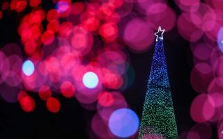 Christmas events in Middlesbrough.