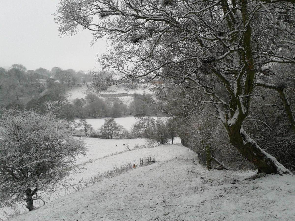 The snow at Doe Park caravan site in Cotherstone, taken by Alison Lamb