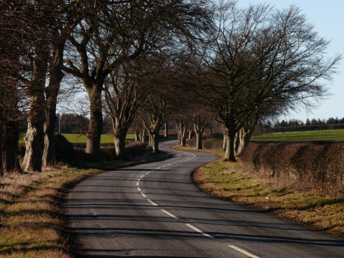 The road from Whorlton to Westwick, County Durham, pictured by Olly Tweedy.