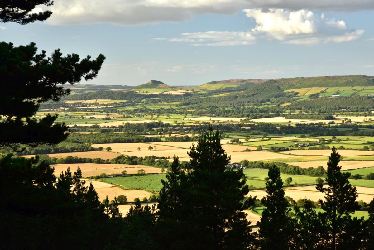 Roseberry Topping and the surrounding countryside taken recently by Ian Thomas of Richmond.