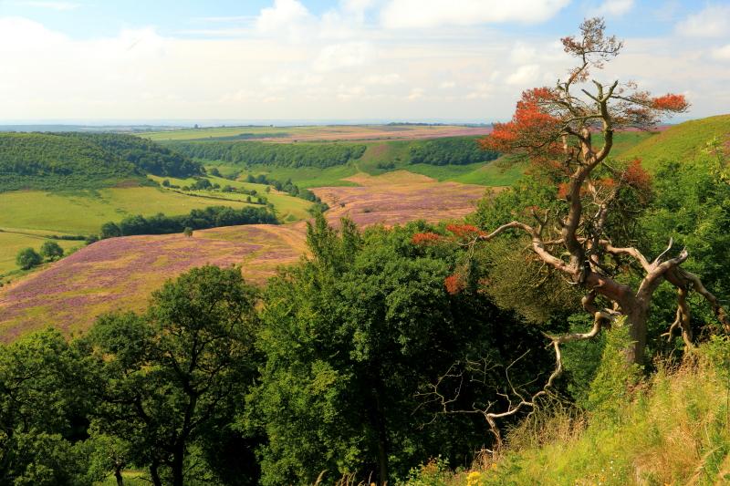 Autumn is now upon us, but this is a memory of summer from John Carter of Stockton who photographed the Hole of Horcum, near Levisham on the North York Moors, on August 19