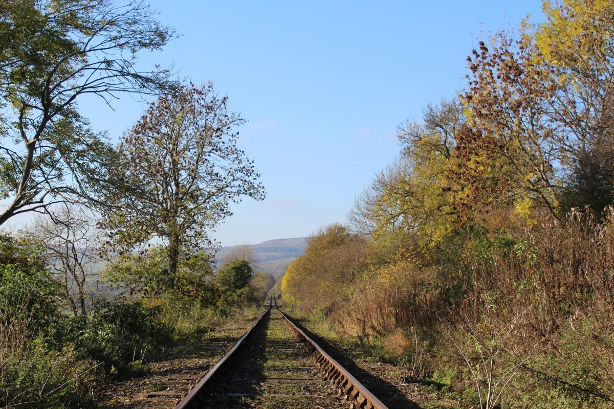 Neil Grant of Castle Bolton sent in this startlingly good view of the Wensleydale Railway, taken near Redmire