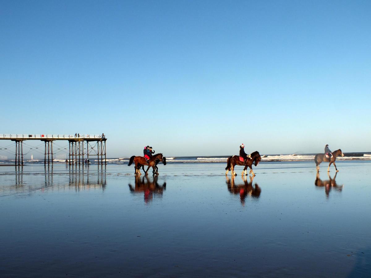 Tim Dunn of Stokesley took this beautiful view of horses on Saltburn beach on a rare sunny morning between Christmas and New Year