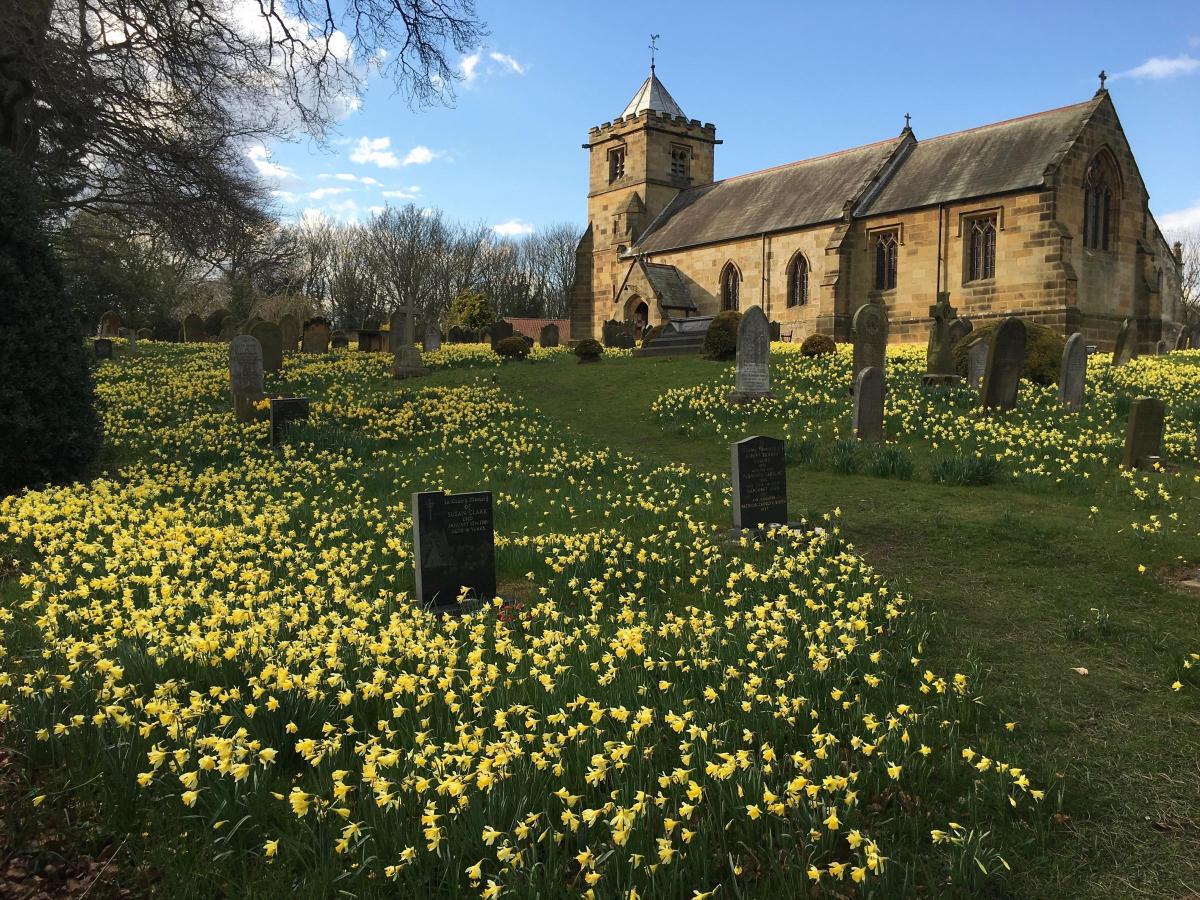 John Daws of Yarm took this wonderful spring picture of All Saints Church, Crathorne, on his iPhone last week.