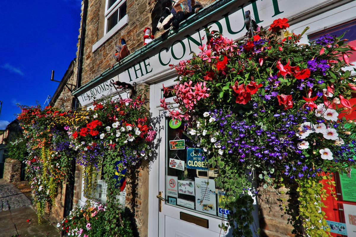 The splendid floral display outside the Conduit Tearooms in Middleton-in-Teesdale last Sunday, as seen by Richard Laidler of Hutton Magna. Richard is one of the regular contributors to this slot, and for 2017 he has produced a calendar of his favourite im