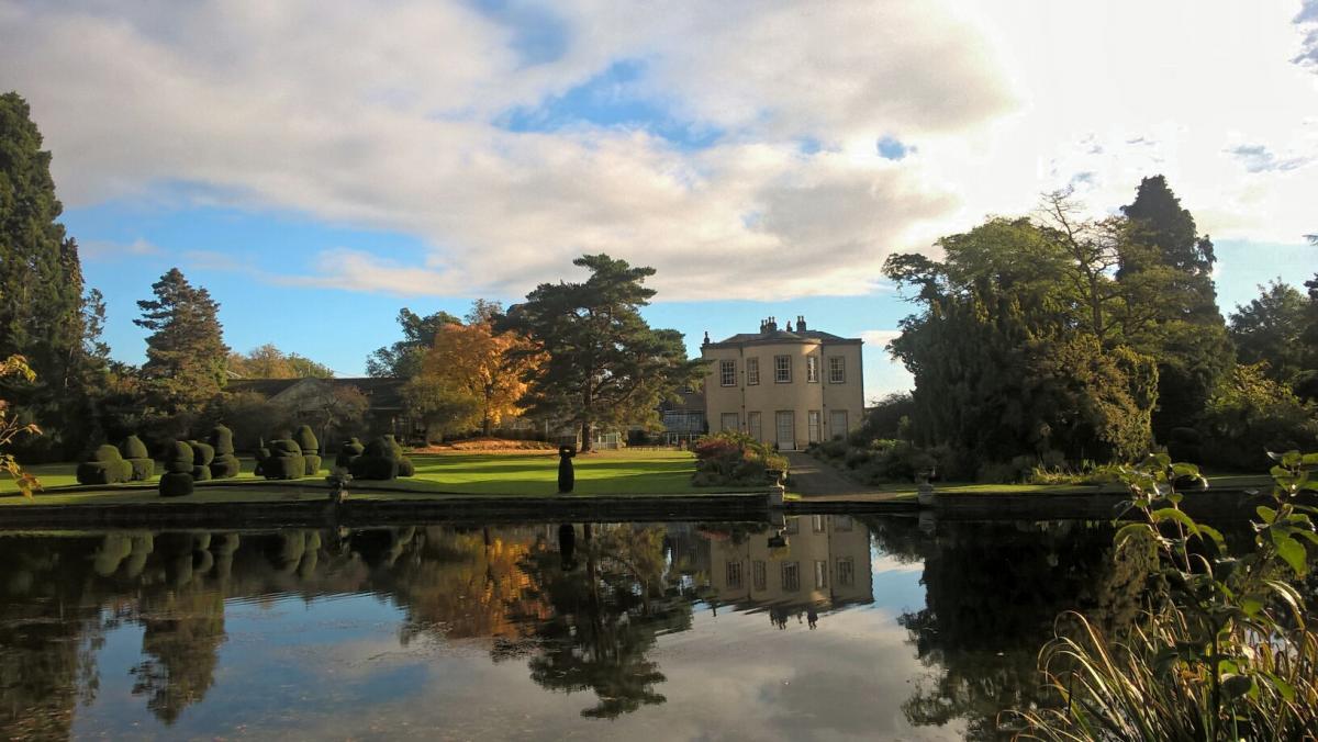 A bumper crop of pictures this week as autumn colours, both in the leaves and the sunsets, inspire our photographers. "Perfect light this week for reflections at Thorp Perrow, near Bedale," said Julie Owram of Kirklington, as she sent in this picture. "No