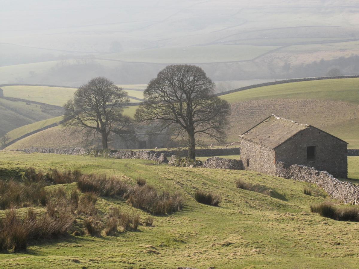 Andrew Brereton of Northallerton took this classic Dales view a couple of weeks ago from the Pennine Way above Horton in Ribbledale