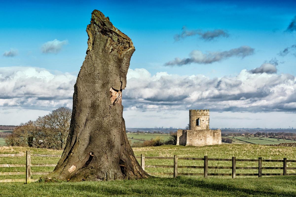 Andrew Fletcher of Preston-under-Scar, near Leyburn, took this picture this week of the Oliver Duckett Folly between Richmond and Gilling West.