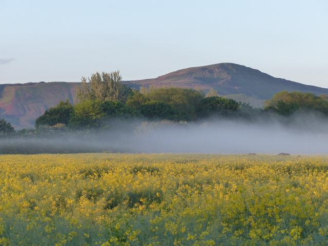 Robert Karlsson of Stokesley took this early morning shot of mist rising from fields nearby