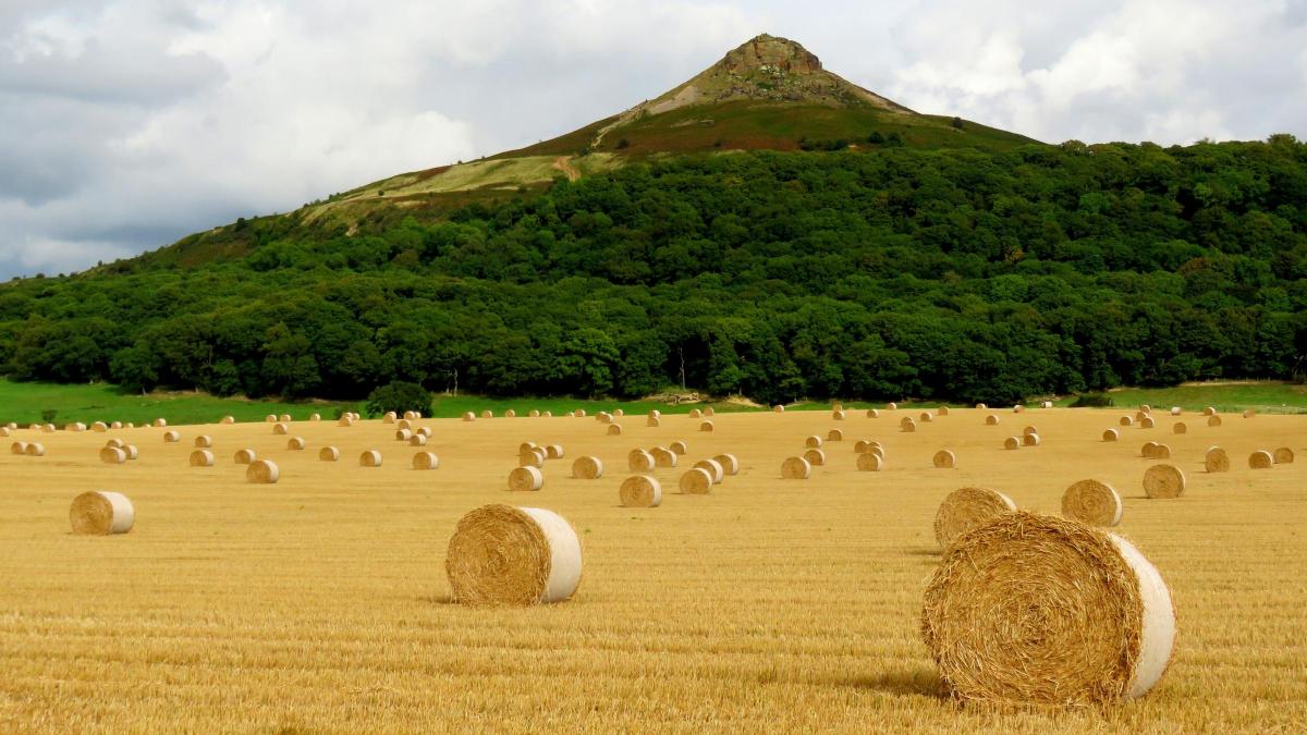 Tim Dunn, from Stokesley, captured this image of the much-photographed Roseberry Topping – known as Yorkshire’s Matterhorn due to its distinctive shape – surrounded by round bales.