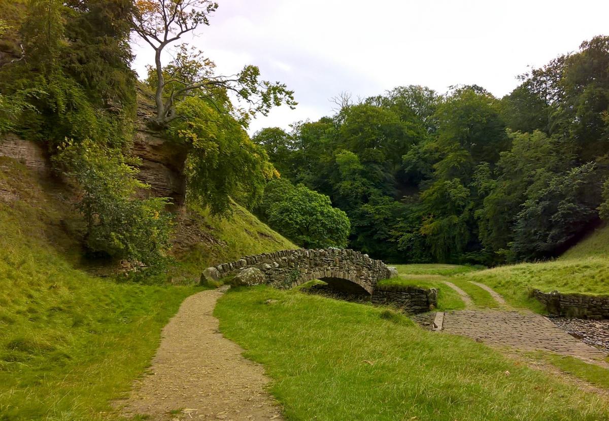One of the bridges in the Seven Bridges Valley at Studley Royal near Ripon as captured by Libby Harding of Leeming.