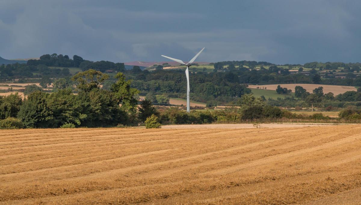 A solitary wind turbine overlooks a freshly-harvested field in this picture by Richard Laidler of Hutton Magna. The heather covered moorland of The Stang in the Dales is highlighted under a menacing sky.